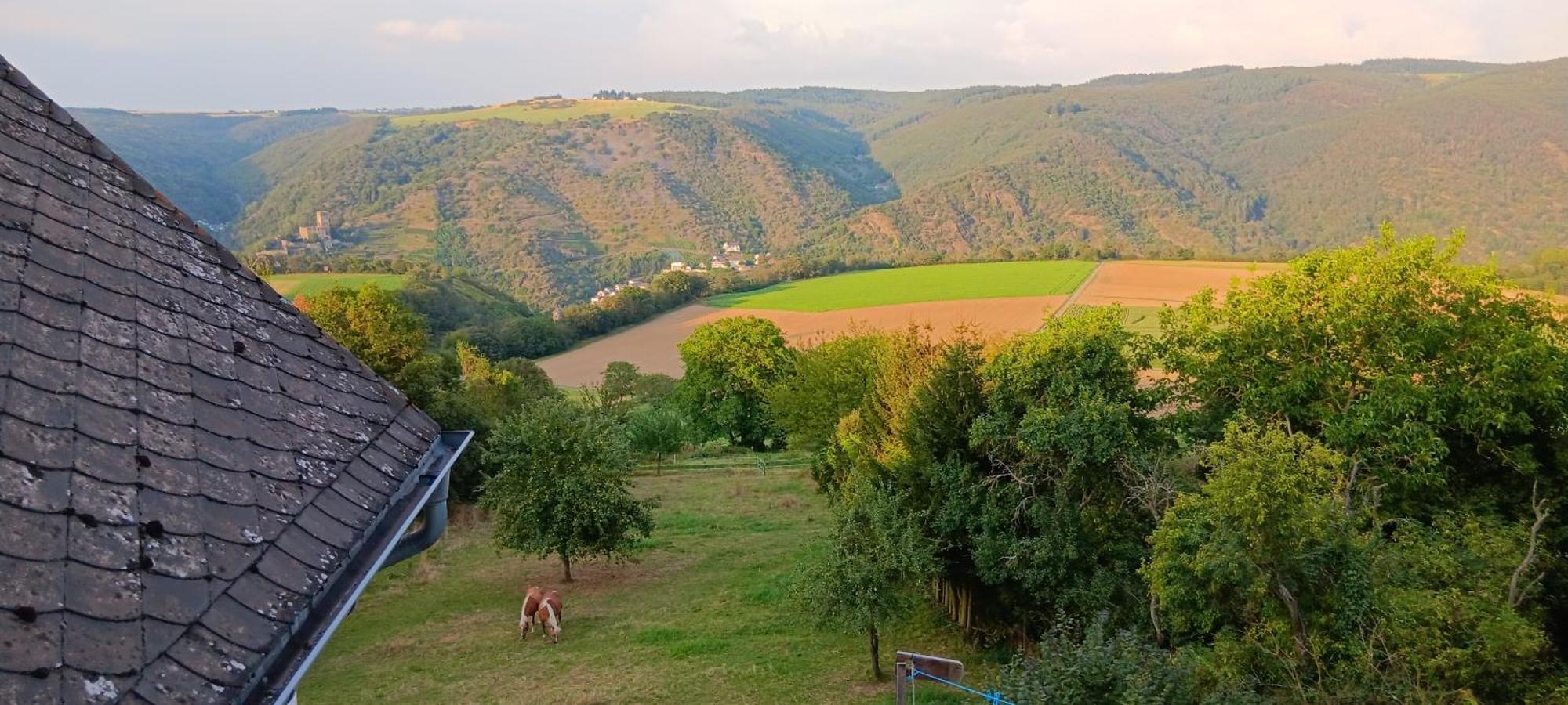 Romantische Ferienwohnung Rheingold 50 Qm Fuer 2 Bis 4 P Bacharach Luaran gambar